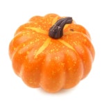 			더리얼스 엠데코:대한민국 대표 플라워 종합쇼핑몰	