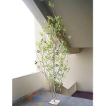 			더리얼스 엠데코:대한민국 대표 플라워 종합쇼핑몰	