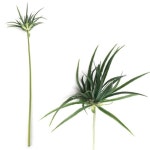 			더리얼스 엠데코:대한민국 대표 플라워 종합쇼핑몰	