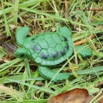 			더리얼스 엠데코:대한민국 대표 플라워 종합쇼핑몰	