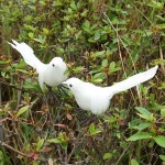 더리얼스 엠데코:대한민국 대표 플라워 종합쇼핑몰