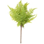 			더리얼스 엠데코:대한민국 대표 플라워 종합쇼핑몰	