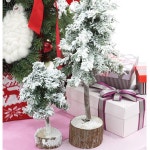 			더리얼스 엠데코:대한민국 대표 플라워 종합쇼핑몰	