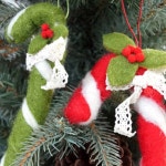 			더리얼스 엠데코:대한민국 대표 플라워 종합쇼핑몰	