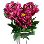 			더리얼스 엠데코:대한민국 대표 플라워 종합쇼핑몰	