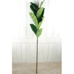 			더리얼스 엠데코:대한민국 대표 플라워 종합쇼핑몰	