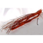 			더리얼스 엠데코:대한민국 대표 플라워 종합쇼핑몰	