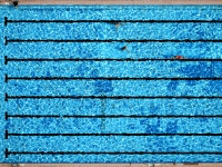 Security Measures for Swimming Pools After Migrant Sex Assaults