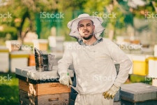 양봉가 함께 비 스톡 사진 613758536 | iStock Beekeeper working with bees