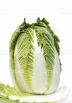 복 최 스톡 사진 117503833 | iStock 복 최