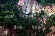 Bukit Timah 보호지구 싱가포르 스톡 사진 514716512 | iStock The Hindhede Quarry at Bukit Timah Reserve, Singapore.