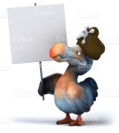 Dodo stock photo 532506971 | iStock Dodo