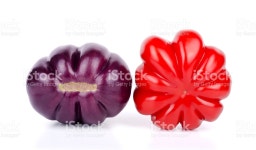 에그플란트 및 토마토색 격리됨에 스톡 사진 505693386 | iStock eggplant and tomato isolated on white background