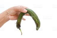 에그플란트 스톡 사진 471552580 | iStock woman holding wilt eggplant on white background
