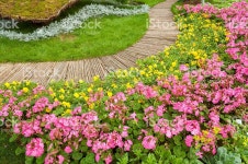 Flower Garden stock photo 470571234 | iStock Path in Ornate Flower Garden
