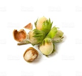 신선한 헤이즐넛을 스톡 사진 499403834 | iStock fresh hazelnuts isolated on white