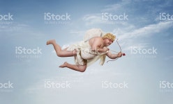 퍼니 초과 큐피드 스톡 사진 504304534 | iStock Funny overweight cupid aiming with the arrow of love over clear blue...