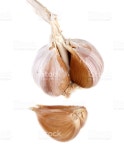 Garlic stock photo 469401328 | iStock Studio shot of garlic on white background