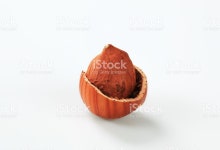 헤즐넛 스톡 사진 185060246 | iStock Hazelnut