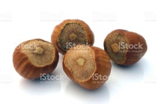 볶은 헤이즐넛 스톡 사진 175602471 | iStock few hazelnuts isolated on white