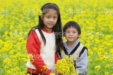 리틀 시스터 산 및 동생이요 In 카놀라 필드 스톡 사진 152540687 | iStock Little sister and brother in canola field