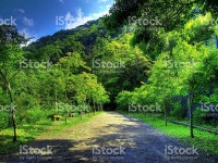 산 소로 스톡 사진 153590152 | iStock Mountain lane and sunlight