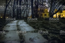 스노이 보행자로 스톡 사진 807574894 | iStock A footpath in the forrest covered with snow in a public park in...