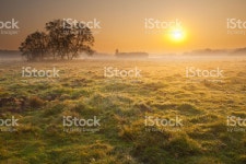 안개 아침 Meadow 썬라이즈 풍경 스톡 사진 467162522 | iStock Sunrise over grassy meadow