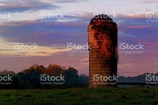 썬라이즈 광택 있는 특정 영역 에서 농장 스톡 사진 492844664 | iStock Sunrise shines on a silo at a farm. The sunshine is just... 