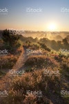 써리 보행자로 스톡 사진 184624449 | iStock A footpath in Surrey, south east England. Wildflowers in the...