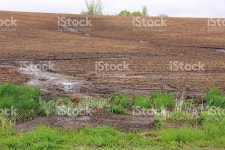용수 흐름을 농장 필드 함양하십시오 하락 스톡 사진 525739208 | iStock A heavy spring rain creates a temporary river that... 