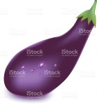 익은 에그플란트 흰색 배경에 분리된 일러스트 538884084 | iStock Ripe eggplant isolated on white background