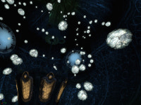 Part 2 on the way news - GfG#2(part 1) mod for Unreal Tournament 3 - Mod DB Part 2 on the way news - GfG#2(part 1) mod for Unreal... 