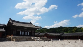 서울시 - 내 손안에 서울 | 시민기자