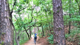 서울시 - 내 손안에 서울 | 시민기자