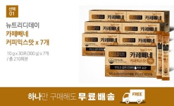 하프클럽 뉴트리디데이 다이어트 카페빼네 커피믹스맛 30포 x 7박스 (총210포)