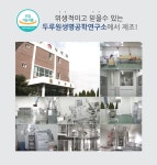 미궁 효소사랑 - YES24 미궁 효소사랑