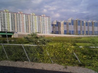 부산에서 대구까지[完]