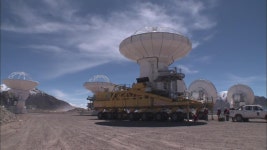 도다리 양식 첫 성공…30% 싼 도다리 풀린다