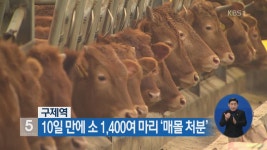 휴대전화 상습 절도, 체육공원 돌며 운동하는 사이 ‘슬쩍’