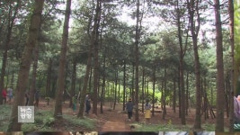 치유·배움의 공간…‘숲’을 찾는 사람들