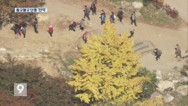 산으로 강으로…“단풍 나들이 떠나요”