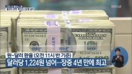 원-달러 환율 달러당 1,224원 넘어…장중 4년 만에 최고