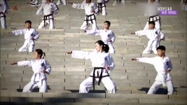 [남북 공동문화유산 ‘같이 함께’] 한 뿌리 두 갈래 ‘태권도’