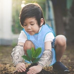 보아스 위생 팔토시 보아스 위생팔토시/일회용팔토시/미술준비물