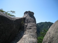 산행기 - ▒ 문경 장성봉~애기암봉