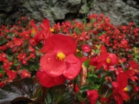 산행기 - ▒ 봉화 청량산