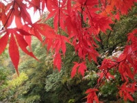 산행기 - ▒ 봉화 청량산