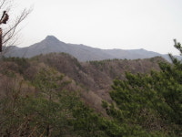 산행기 - ▒ 광양 쫓비산
