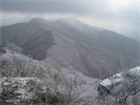 산행기 - ▒ 각호산~민주지산